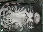Tiger drawing sketch A 4 size