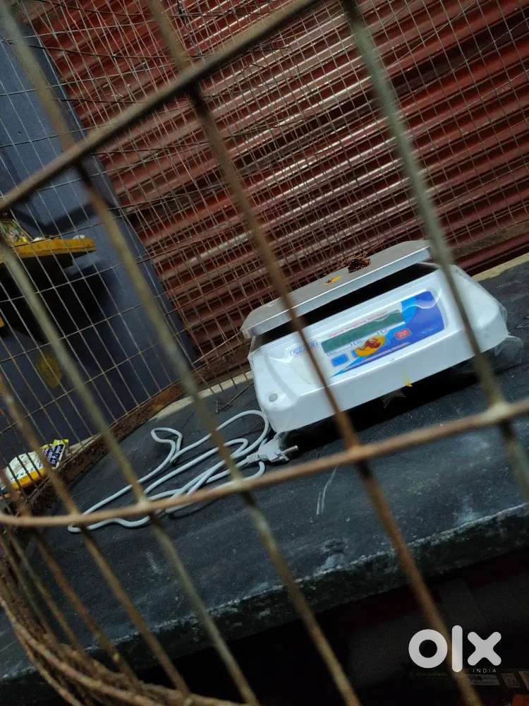 Chicken cutting master and cleaning person