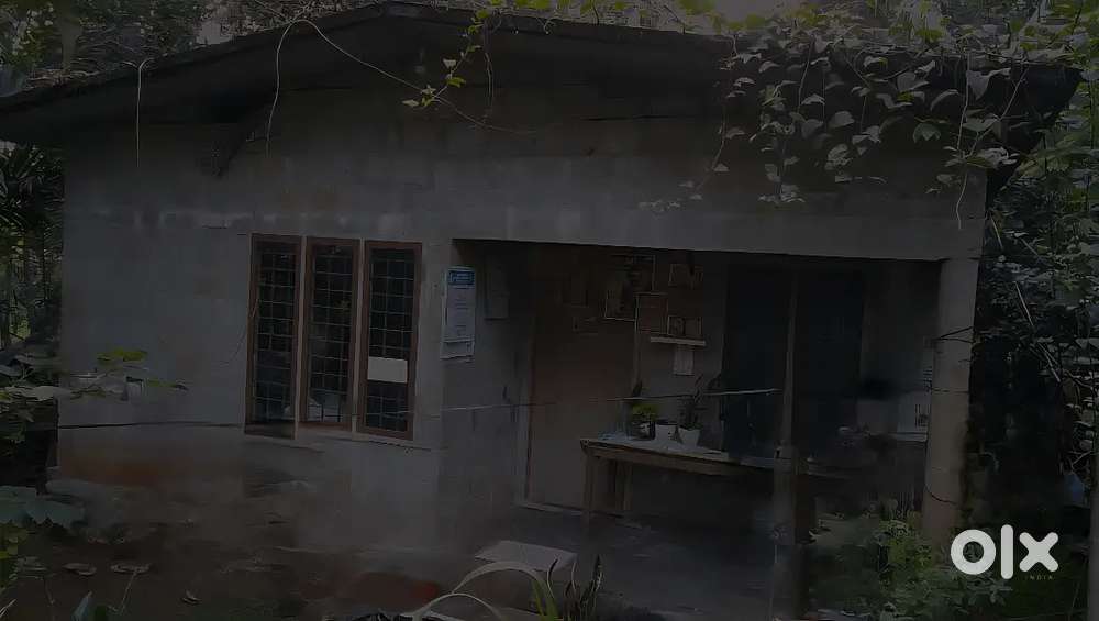 Pothanicad 490 Sq.ft House in 7 cent Plot. Total 10 Lakh