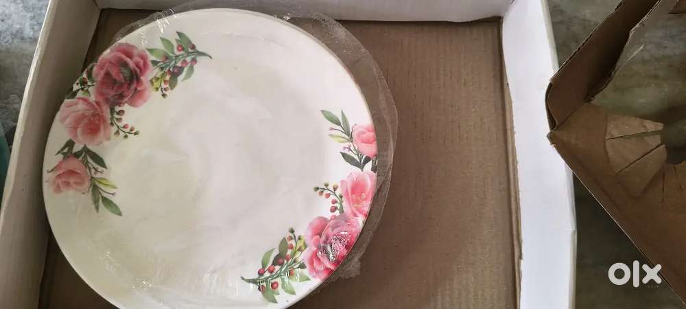 Silver spoon melamine dinner set