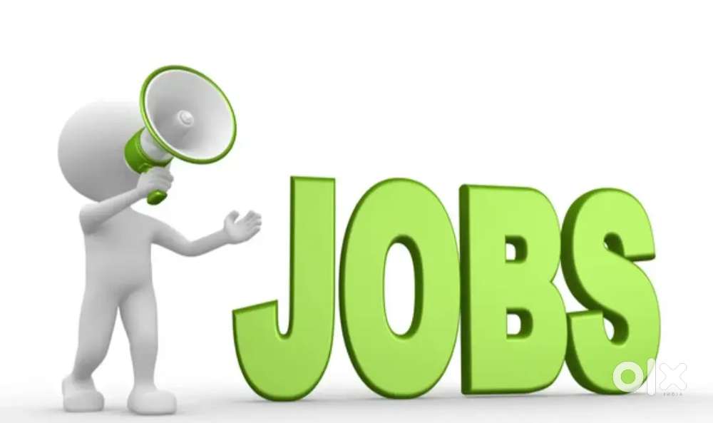 Online jobs data entry work