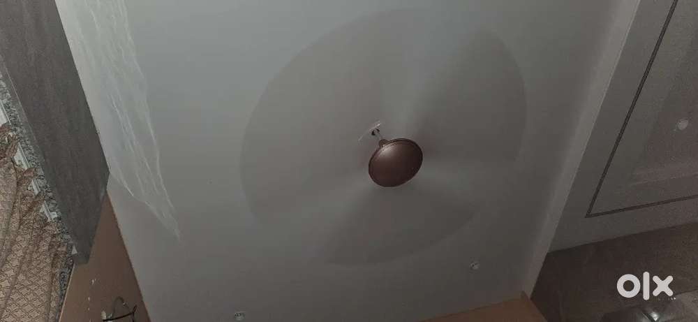 Celling fan