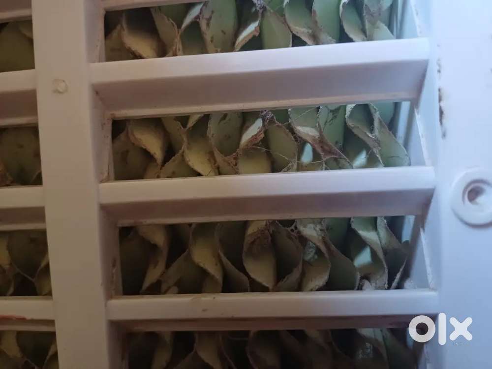 Vageterien allowed on this home