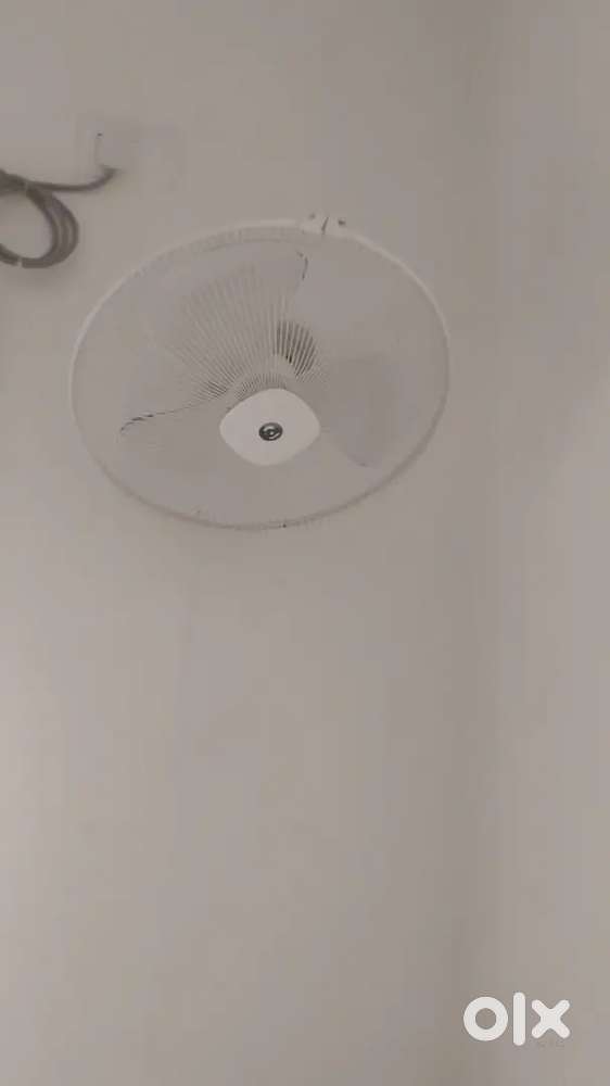 New Wall Fan