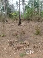 240m2 orchard plot for Sale in Qupem, South Goa