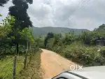 Farm Land for Sale in Mudigere, Chikkamagaluru!  - 1 acre farm land