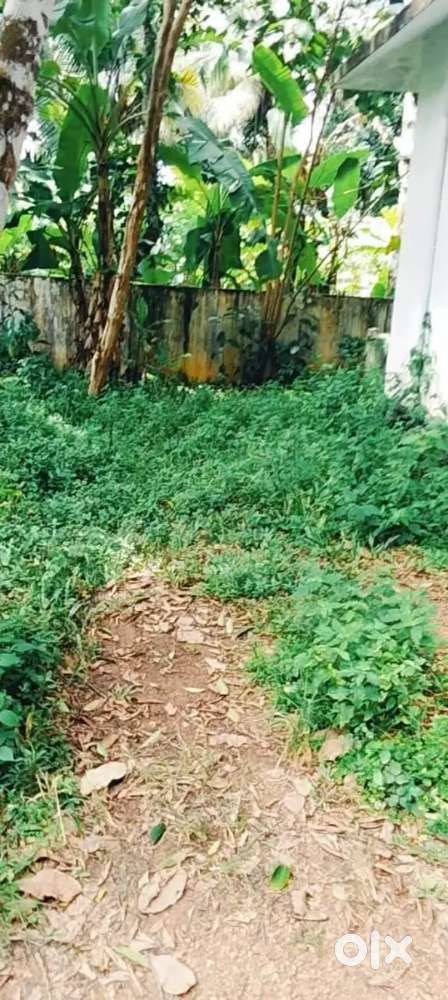 പുതുപ്പള്ളി ചാലുകപടി 40 സെന്റ് സ്ഥലം വിലപ്പനക്ക്
