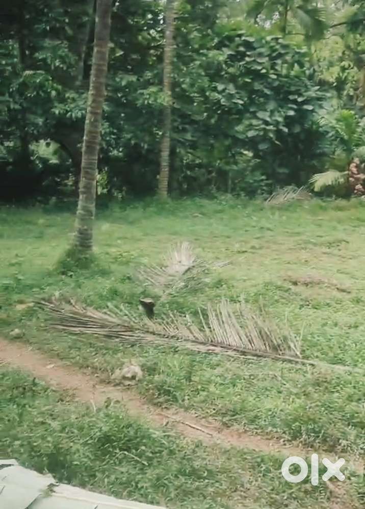 8.5 cent (3700 sq ft) plot near vadakara nadapuram highway for sale