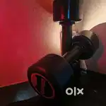 “Pair of 5 kg Dumbbells (10 kg Total) – Good Condition”
