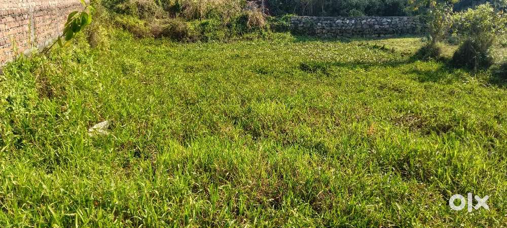 Kk das betkuchi lakhora