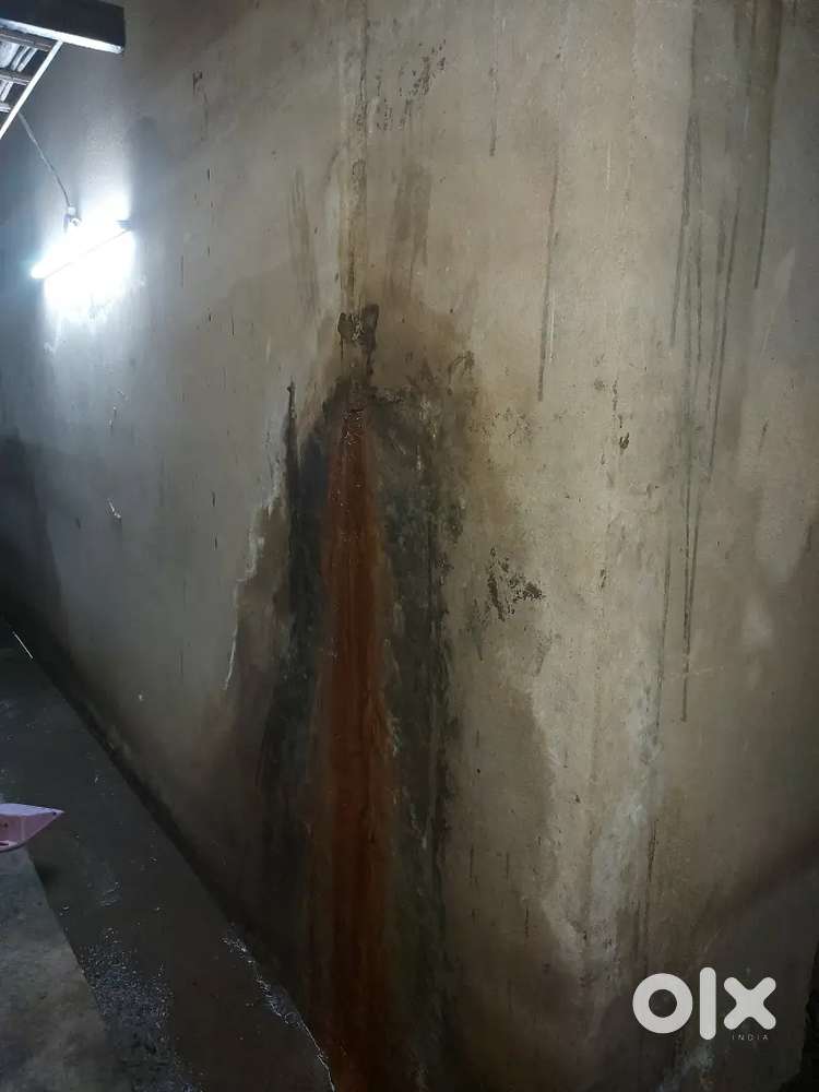 Reparing & water proofing