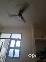 Female Partner need