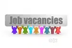 Male and female both candidates apply Now Bank Job