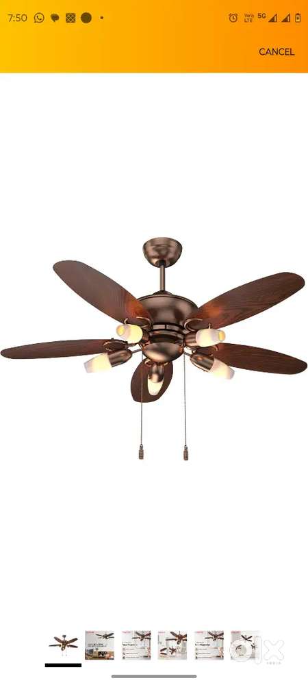 Polycab Superia SP02 Celling fan