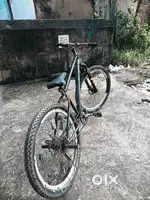 Stunts cycle