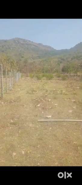 2.5 acre farm land for sale near doddaballapur