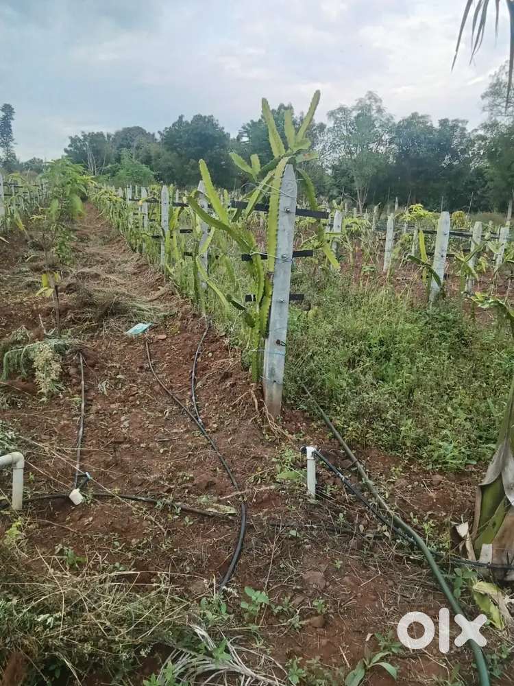 2 acre  dram for sale