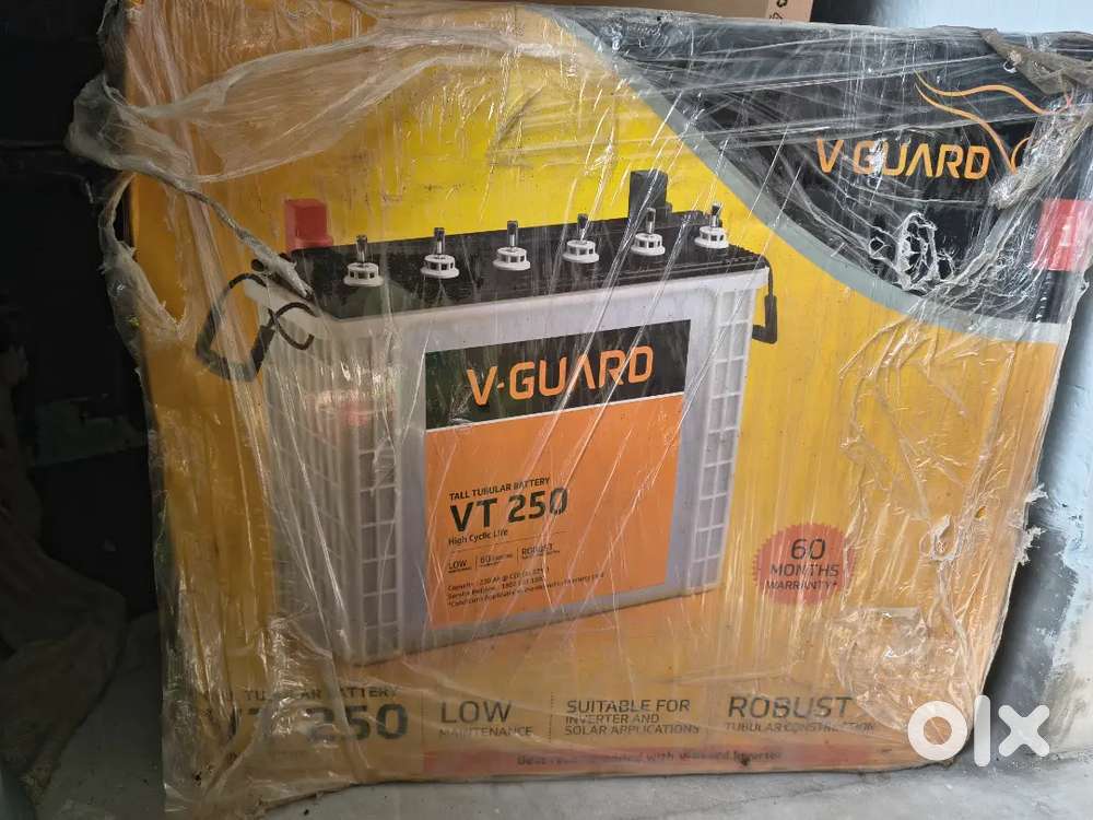Inverter and battery, V-Guard VT-250 purchase date june-2024