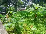 5.5 cents of residential land for sale at Elamakkara.