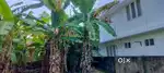 4.400 CENTS RESIDENTIAL PLOT FOR SALE NEAR VANCHIYOOR