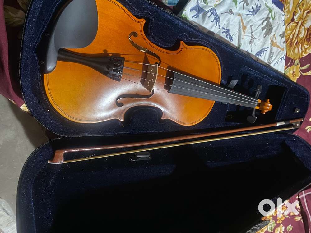 Violin  brand new violin for sale because kinds are not studying