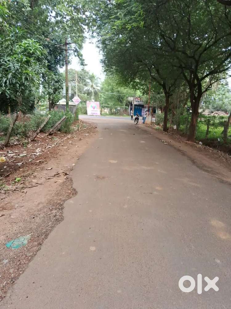 Thanjavur  big temple just 7km [100 meter near main road]