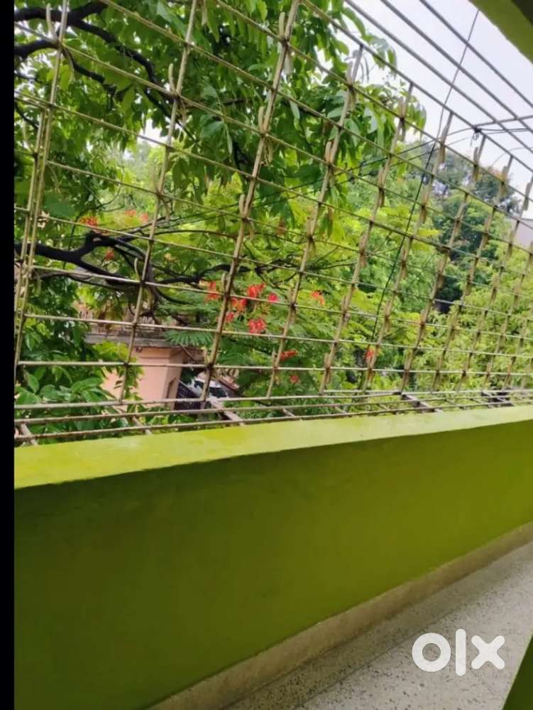 Flat available for rent in Dover lane.