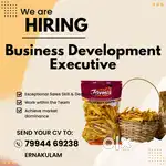 Business Bevelopment Executive (Filed Sales)