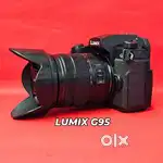 Panasonic Lumix G95 with G Vario 14-140mm 4K Mirrorless Camera Combo.