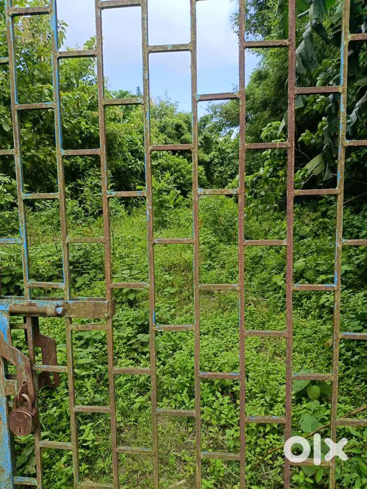 1 Bigha myadi patta land for sale at Nalbari