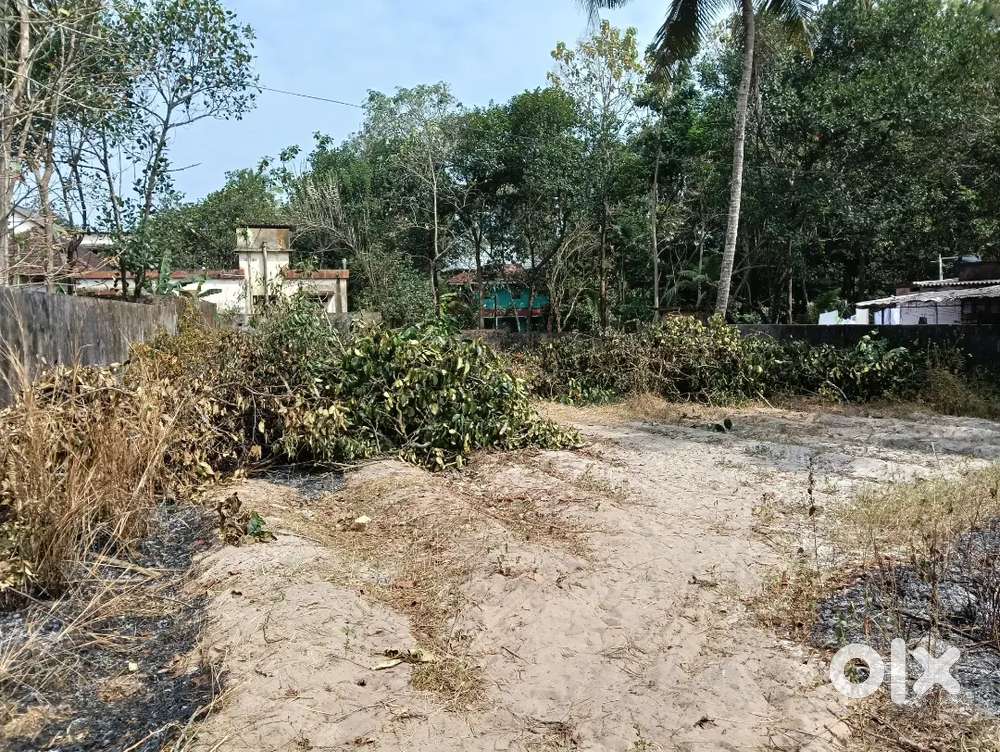 സെന്റ് മൈക്കിൾസ് കോളേജിന് സമീപം
ദേശീയപാതയ്ക്ക് സമീപം   26 സെന്റ്