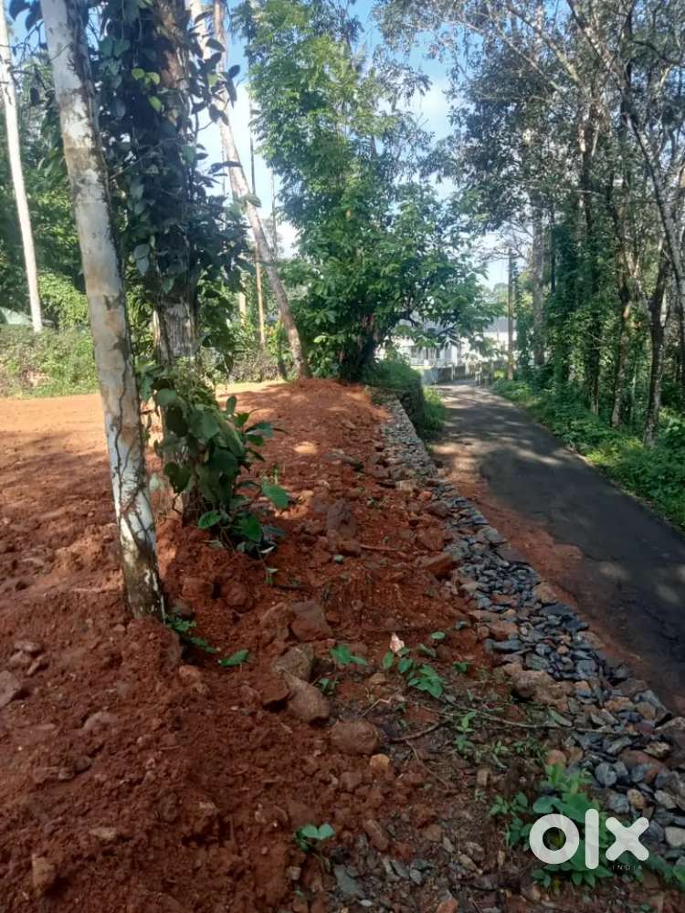 20 cent house plot kollappally  400 meter to Pala Thodupuzha road