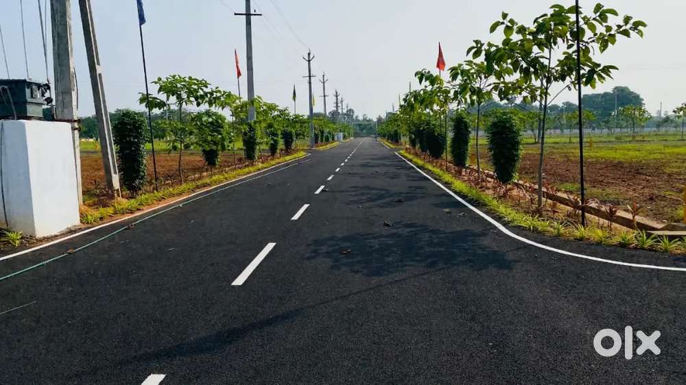 DAKKAMARRI NEAR BY RAGHU EGG COL PROJECT