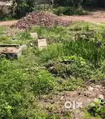 House for sell only 550000