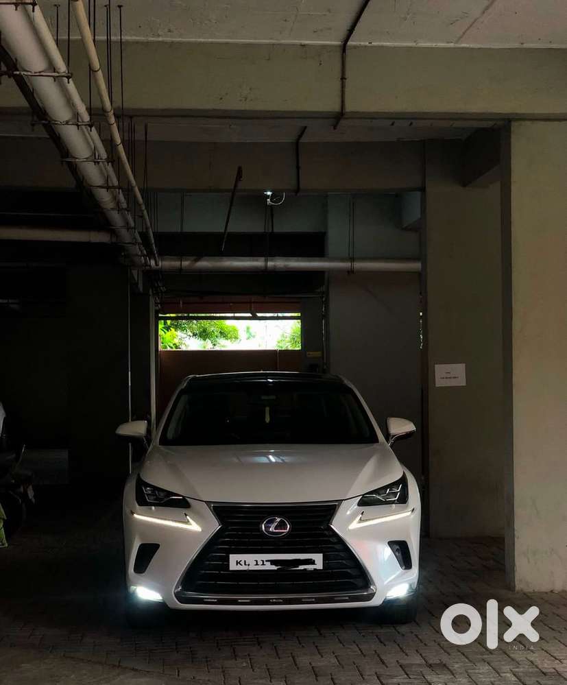 Lexus NX 2018 Petrol Well Maintained