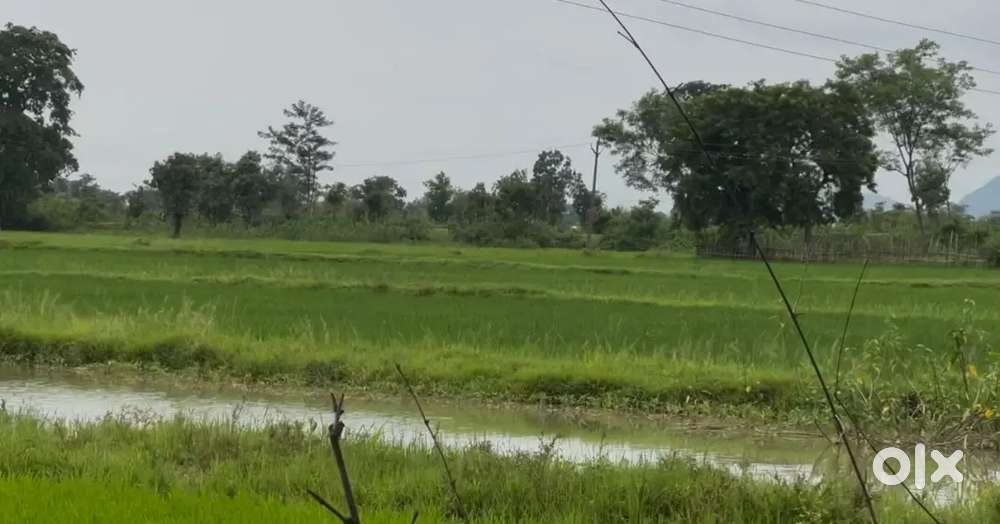 Agriculture land Hai ek ekad mein ek ark kam hai