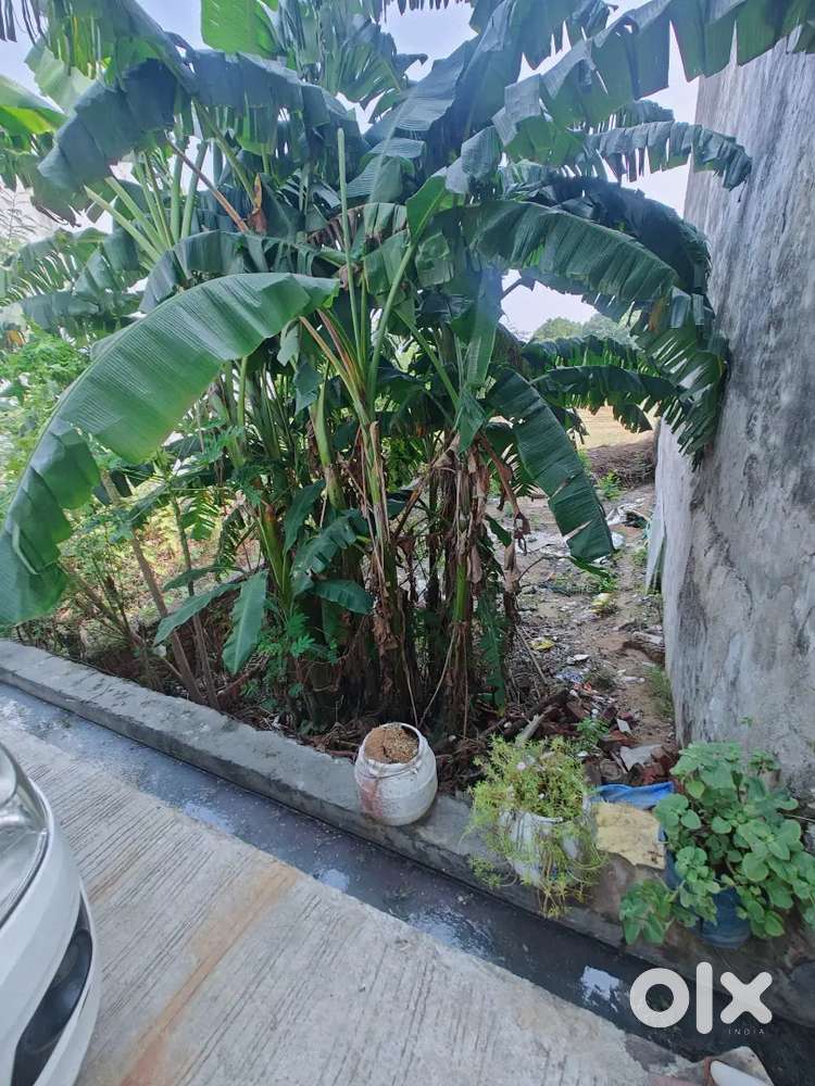 100 gaj 500 m from main dhasa road