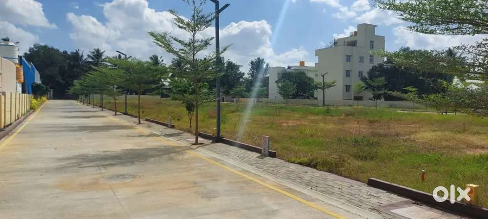 ERAYAA SHIVA NANADI ORCHIDS,Bangalore