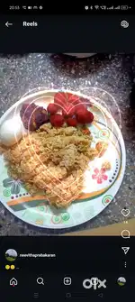 Home made foods, party orders veg and non-veg