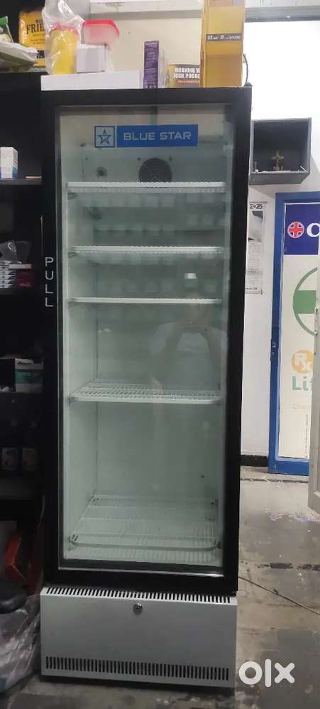 Bluestar 390 liters commercial refrigerator for sale
