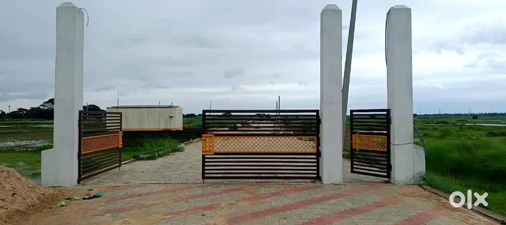 Plot and lands