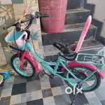 16 inch cycle