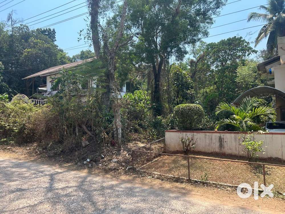20 cents commercial property for sale in Padavinangady
