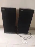 Birco 10 inch speaker and 1hp printer