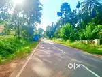 45 cent main road front land for sale in kanjoor parappuram,commercial