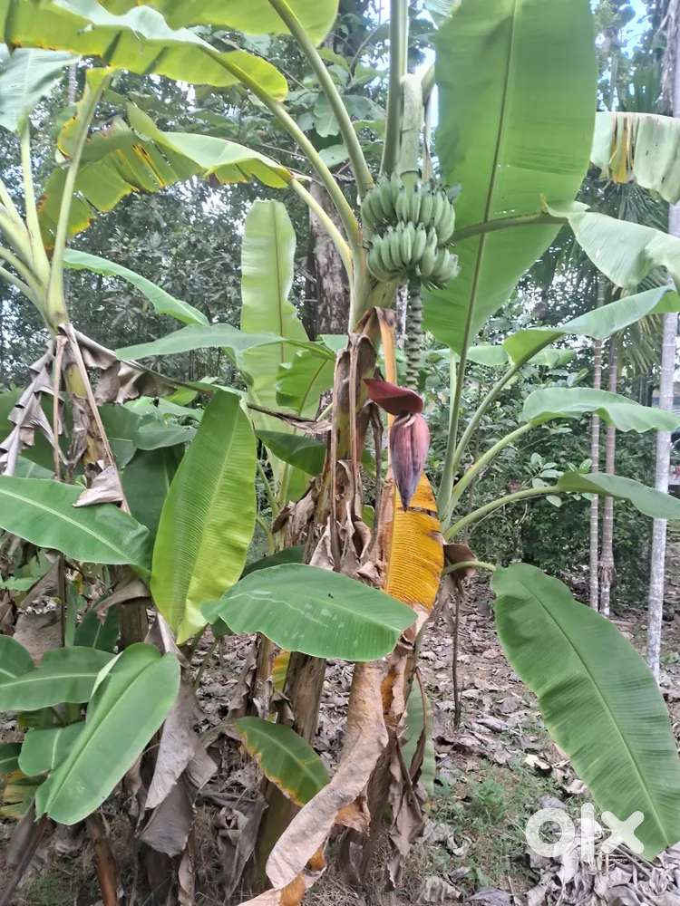 Square plot with road for sale