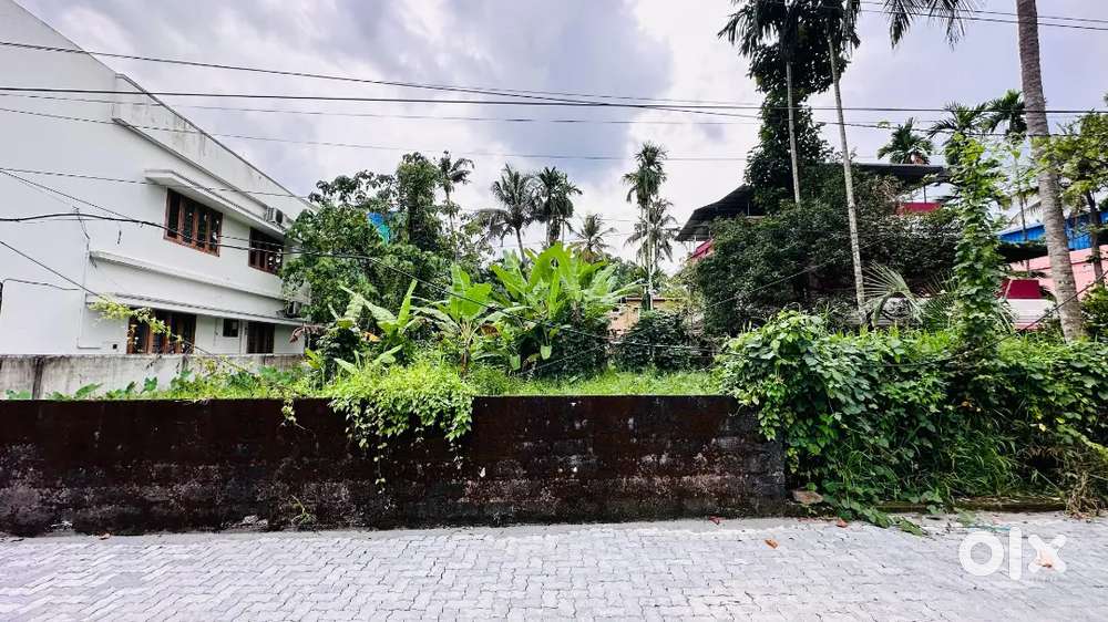 Prime12Cent Original Land for Sale Just 500m from Thripunithura Temple