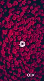 Female therapist wanted