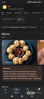Chainish cook