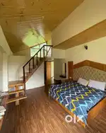 Frozen Leaf Cottage manali